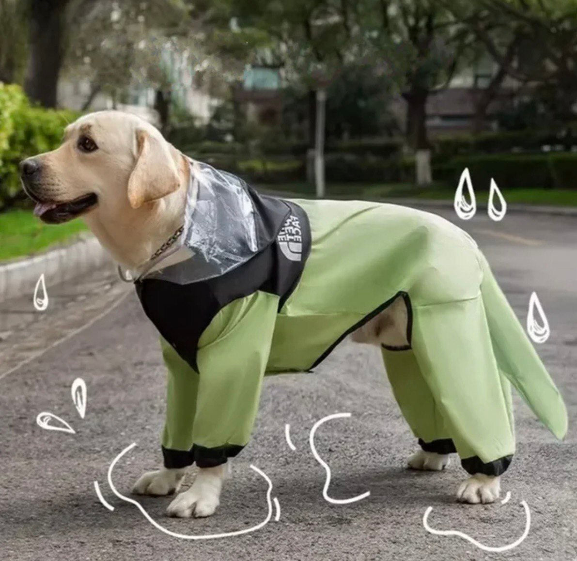 Dog Raincoat