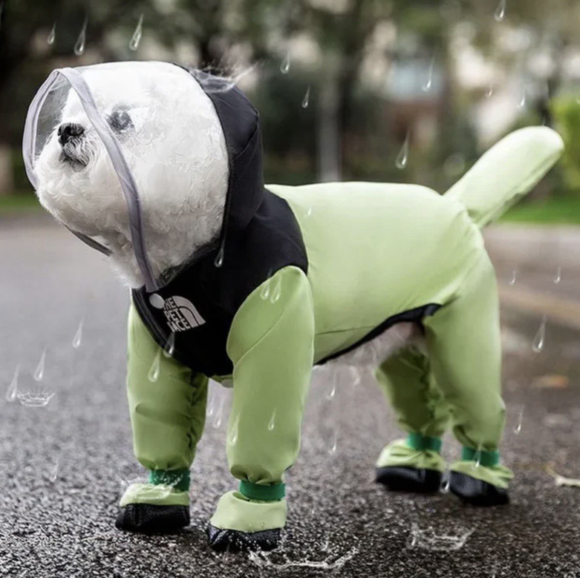 Dog Raincoat